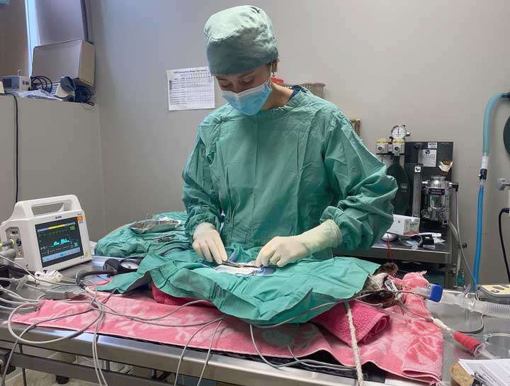 Advanced Soft Tissue Surgery